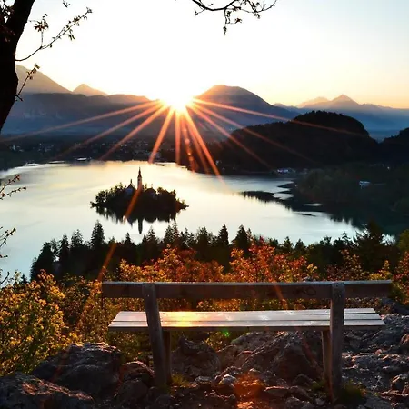 238 Apartmán Spodnje Gorje